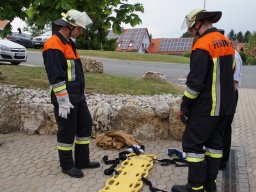 Leistungsprüfung THL 2018
